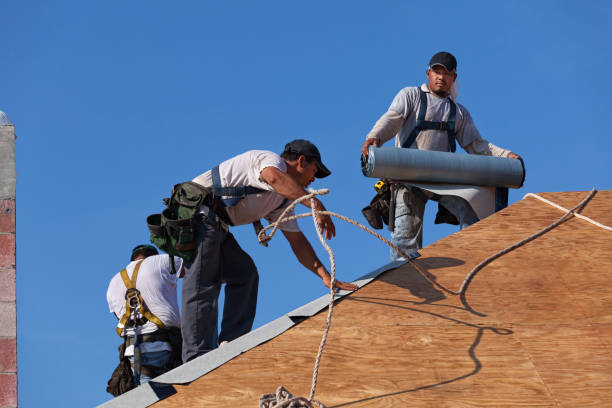 Best Roof Gutter Cleaning  in Clinton, MS