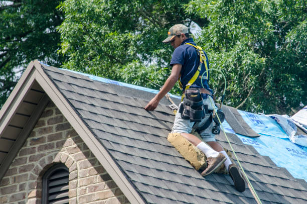 Best Gutter Installation and Roofing  in Clinton, MS
